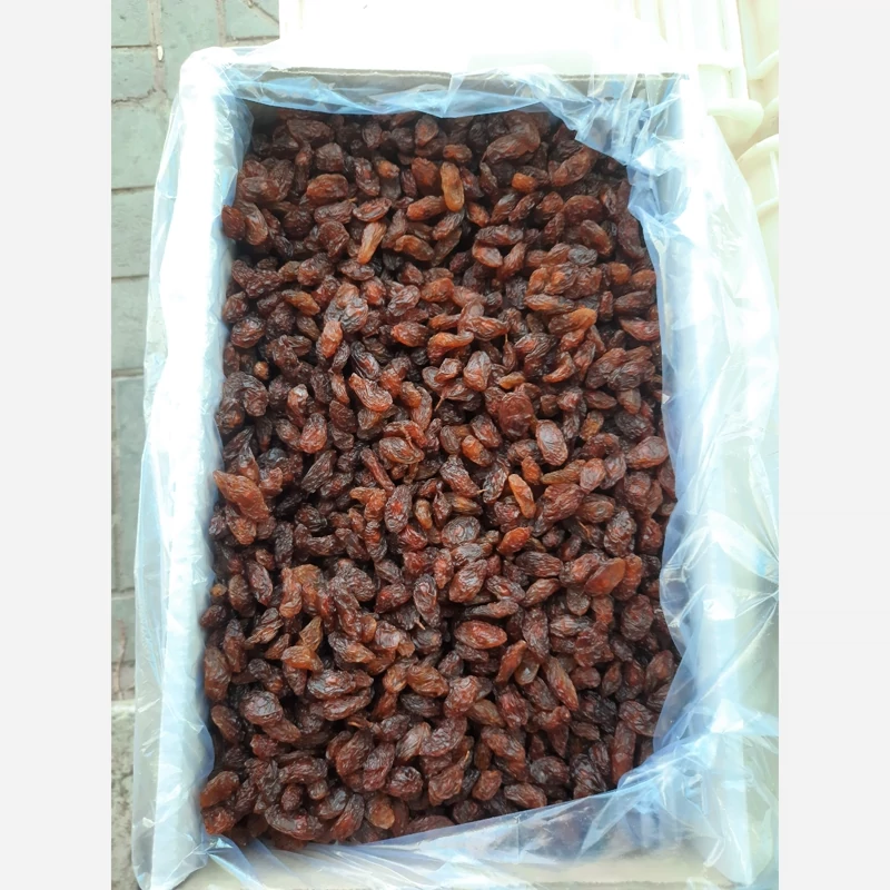 مویز قهوه‌ای لوکس